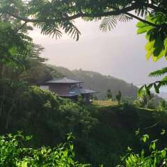 TAHITI - Villa Miti Natura in Tiarei, French Polynesia from 436$, photos, reviews - zenhotels.com photo 4