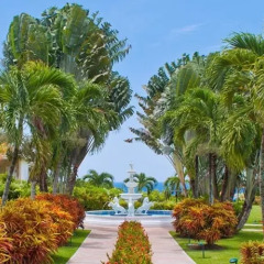 Отель Beaches Ocho Rios A Spa, Golf & Waterpark Resort Ямайка, Монастырь - отзывы, цены и фото номеров - забронировать отель Beaches Ocho Rios A Spa, Golf & Waterpark Resort онлайн фото 5