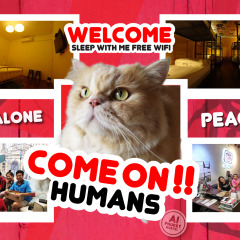 Ai Phuket Hostel городской автобус