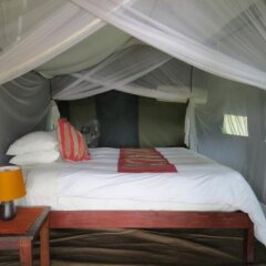 Croc Valley Camp in South Luangwa National Park, Zambia from 61$, photos, reviews - zenhotels.com guestroom photo 2