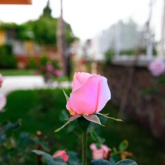 Villa Fokai Hotel Турция, Карабурун - отзывы, цены и фото номеров - забронировать отель Villa Fokai Hotel онлайн фото 2