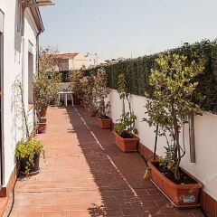 Las Musas Hostel