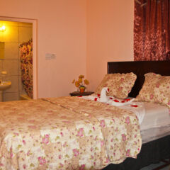 Отель Executive Shaw Park Guest House комната для гостей фото 2