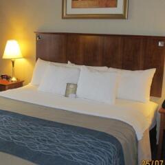 Отель Comfort Inn At LaGuardia Airport США, Нью-Йорк - отзывы, цены и фото номеров - забронировать отель Comfort Inn At LaGuardia Airport онлайн сейф в номере