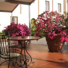 Отель Villa Gabriele DAnnunzio фото 4
