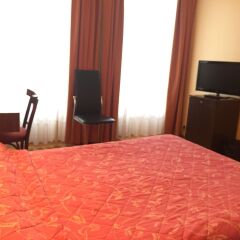Hotel Des Pyrenees комната для гостей фото 3