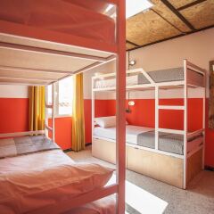 Отель Neptuno Hostal Испания, Льорет-де-Мар - отзывы, цены и фото номеров - забронировать отель Neptuno Hostal онлайн фото 4
