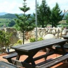 Отель Daegwalnyeong Snow Pension Южная Корея, Пхёнчан - отзывы, цены и фото номеров - забронировать отель Daegwalnyeong Snow Pension онлайн питание