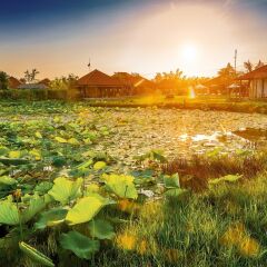 Отель Allamanda Estate Вьетнам, Хойан - отзывы, цены и фото номеров - забронировать отель Allamanda Estate онлайн приотельная территория