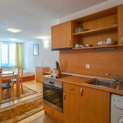 Отель Self - Catering Apartments Hadzhiata Болгария, Банско - отзывы, цены и фото номеров - забронировать отель Self - Catering Apartments Hadzhiata онлайн фото 20