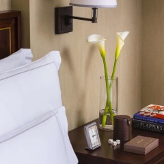 The Beaumont Hotel в номере