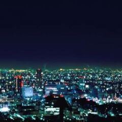Отель Park Hyatt Tokyo Токио фото 12