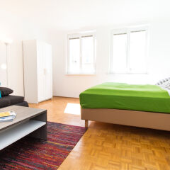 Отель CheckVienna Apartment Jenullgasse Австрия, Вена - отзывы, цены и фото номеров - забронировать отель CheckVienna Apartment Jenullgasse онлайн комната для гостей фото 2