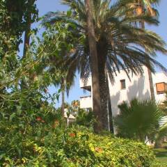 Antik Garden Hotel Турция, Аланья - отзывы, цены и фото номеров - забронировать отель Antik Garden Hotel онлайн вид на фасад