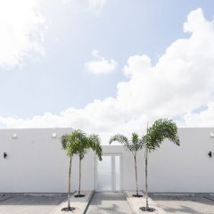 The Palm Leaf Apartments in Noord, Aruba from 146$, photos, reviews - zenhotels.com parking