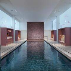 Отель Mandarin Oriental Paris бассейн