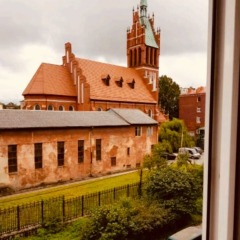 Hostel Tri Kota Калининград комната для гостей фото 2