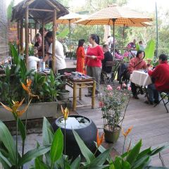 Отель Thien Thanh Boutique Хойан питание