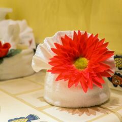 Отель Tropicana Inn Мексика, Сан-Хосе-дель-Кабо - отзывы, цены и фото номеров - забронировать отель Tropicana Inn онлайн удобства в номере