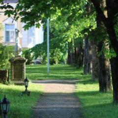 Гостиница Palace Yelizavetino в Гатчине отзывы, цены и фото номеров - забронировать гостиницу Palace Yelizavetino онлайн Гатчина фото 3