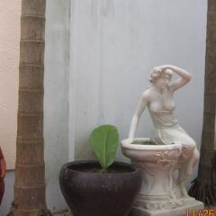 Отель Hoi An Life Homestay спа