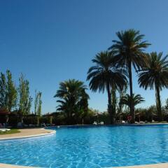 Отель Devesa Gardens Camping & Resort бассейн