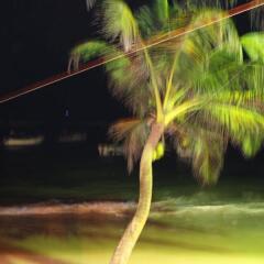 Отель Mamas Coral Beach