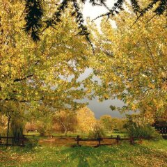 Отель Agriturismo Monte Due Torri Дженцано-ди-Рома приотельная территория