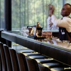Radisson Blu Park Royal Palace Hotel гостиничный бар