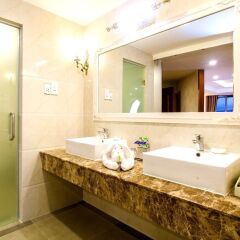 Отель Ladalat Hotel Вьетнам, Далат - отзывы, цены и фото номеров - забронировать отель Ladalat Hotel онлайн ванная фото 2