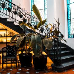 Отель Orchid House Polanco Мехико гостиничный бар
