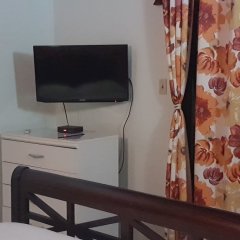 Forst Villa in Kingstown, St. Vincent and the Grenadines from 379$, photos, reviews - zenhotels.com room amenities photo 2