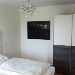 Отель Puzzlehotel Appartement Schönbrunn Австрия, Вена - отзывы, цены и фото номеров - забронировать отель Puzzlehotel Appartement Schönbrunn онлайн удобства в номере фото 2