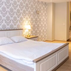 Отель Wellness Apart Hotel Бельгия, Брюссель - отзывы, цены и фото номеров - забронировать отель Wellness Apart Hotel онлайн фото 19