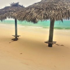 Paradise Beach - Main House in South Andros, Bahamas from 188$, photos, reviews - zenhotels.com beach