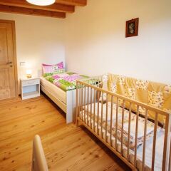 Отель Albergo Diffuso Tolmezzo Soc.Coop.Ar.L. Кьюзафорте детские мероприятия фото 2