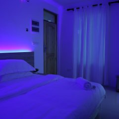 Moodhu Surf House in North Male Atoll, Maldives from 61$, photos, reviews - zenhotels.com spa