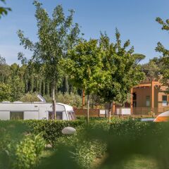 Отель Camping Firenze с домашними животными