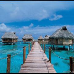 Отель Tikehau Pearl Beach Resort фото 3