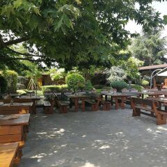 Отель Ajax Guest House Болгария, Кранево - отзывы, цены и фото номеров - забронировать отель Ajax Guest House онлайн фото 5