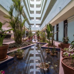 Апартаменты BH Mallorca Apartments - Adults Only питание