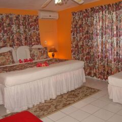 Отель PinkHibiscus Guest House сауна