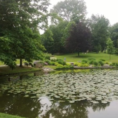 Отель am Schlosspark Германия, Эссен - отзывы, цены и фото номеров - забронировать отель am Schlosspark онлайн приотельная территория фото 2