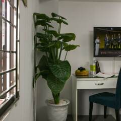 Golden Time Hostel 2 удобства в номере