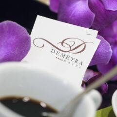 Demetra Hotel развлечения