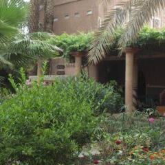 Отель Fibule Du Draa Kasbah Dhôtes Марокко, Загора - отзывы, цены и фото номеров - забронировать отель Fibule Du Draa Kasbah Dhôtes онлайн фото 18