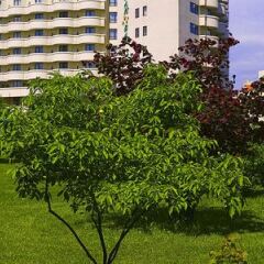 Гостиница Holiday Inn Moscow Seligerskaya фото 7