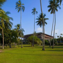 Отель Bentota Beach by Cinnamon Шри-Ланка, Бентота - отзывы, цены и фото номеров - забронировать отель Bentota Beach by Cinnamon онлайн фото 4