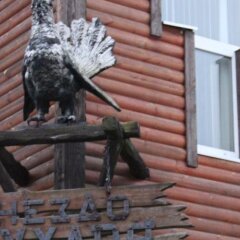 Гостиница Gnezdo Gluharya Hotel Украина, Харьков - отзывы, цены и фото номеров - забронировать гостиницу Gnezdo Gluharya Hotel онлайн с домашними животными