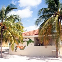 ABC Resort Curaçao in Willemstad, Curacao from 119$, photos, reviews - zenhotels.com beach